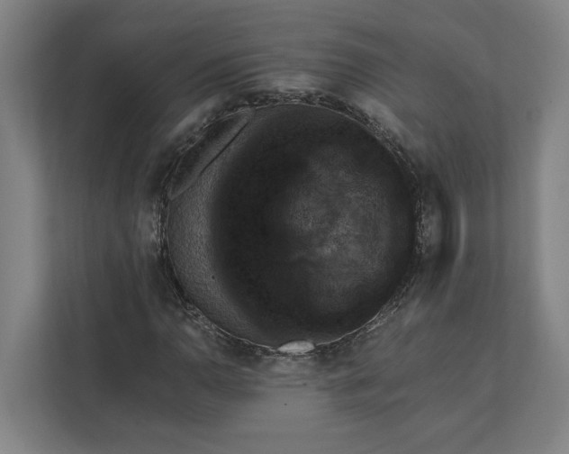 X0000111941110200908101156