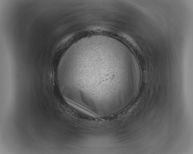 X0000111941111200908101156