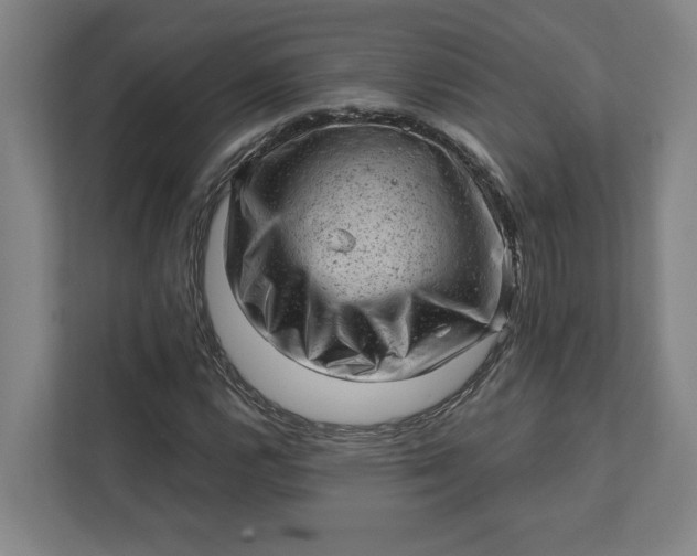 X0000111941112200908101156