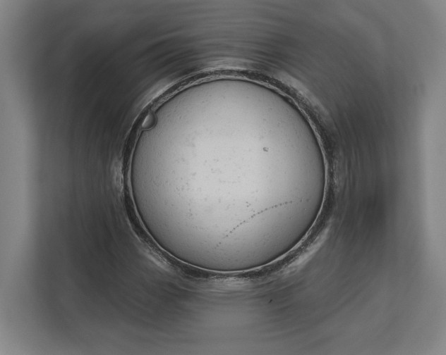 X0000111941113200908101156