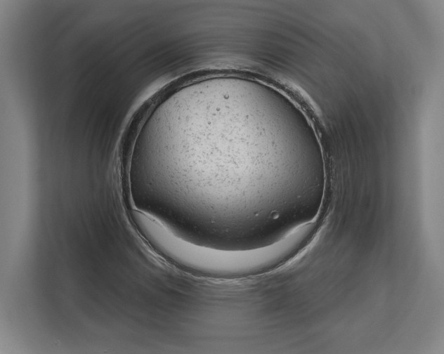 X0000111941114200908101156