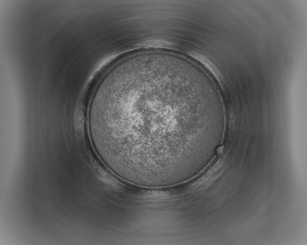 X0000111941115200908101156