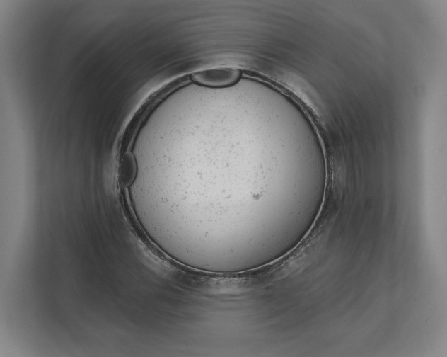 X0000111941116200908101156