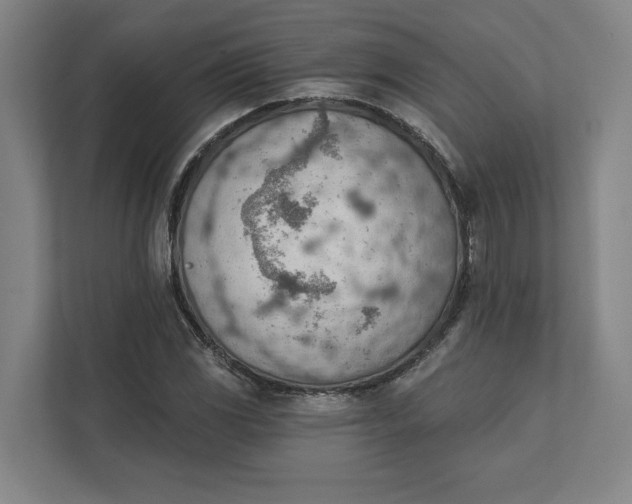 X0000111941117200908101156