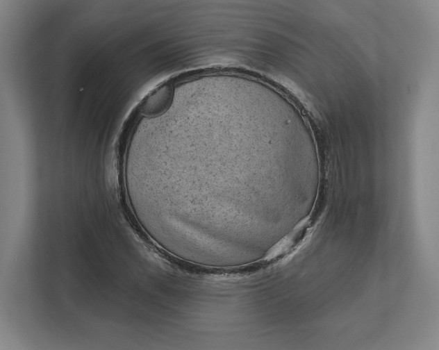 X0000111941118200908101156