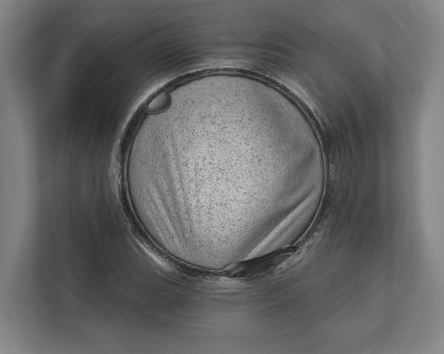 X0000111941119200908101156