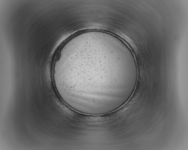 X0000111941120200908101156