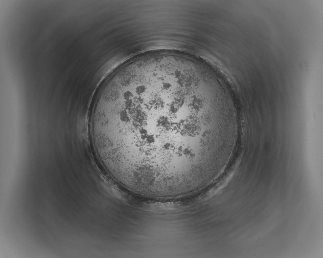 X0000111941121200908101156