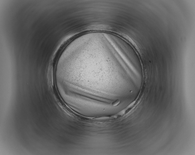 X0000111941123200908101156