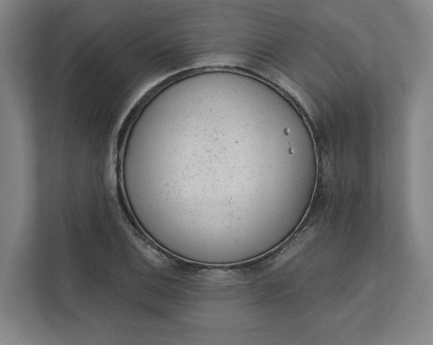 X0000111941124200908101156