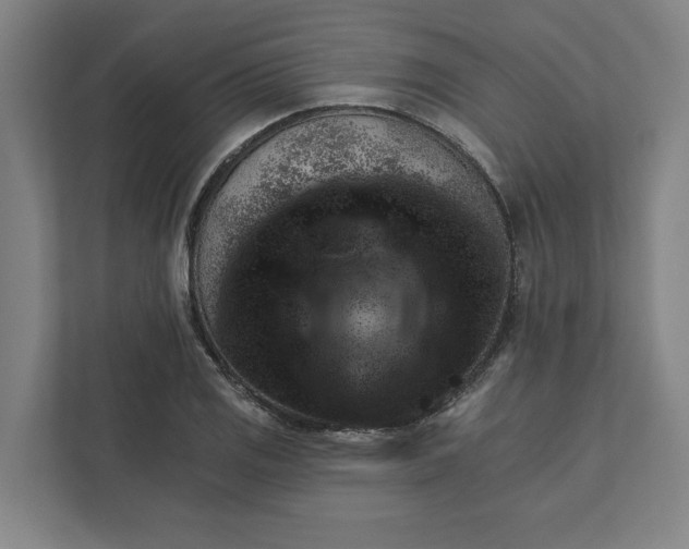 X0000111941125200908101156