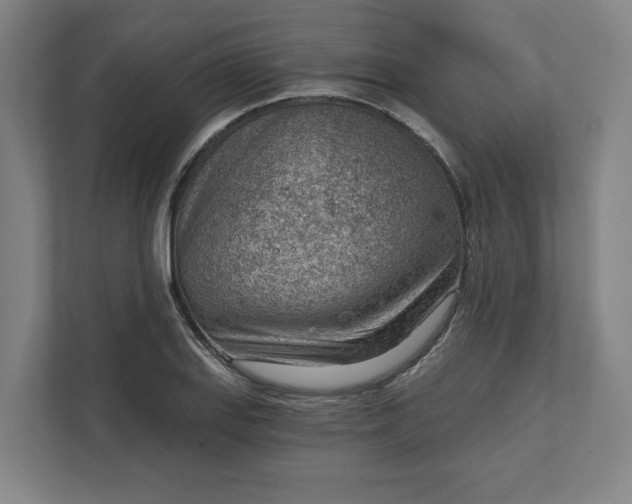 X0000111941127200908101156