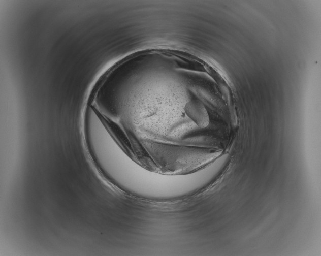 X0000111941128200908101156