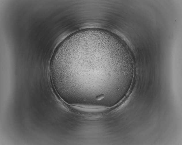 X0000111941129200908101156