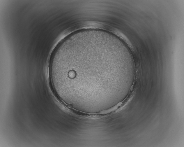 X0000111941130200908101156