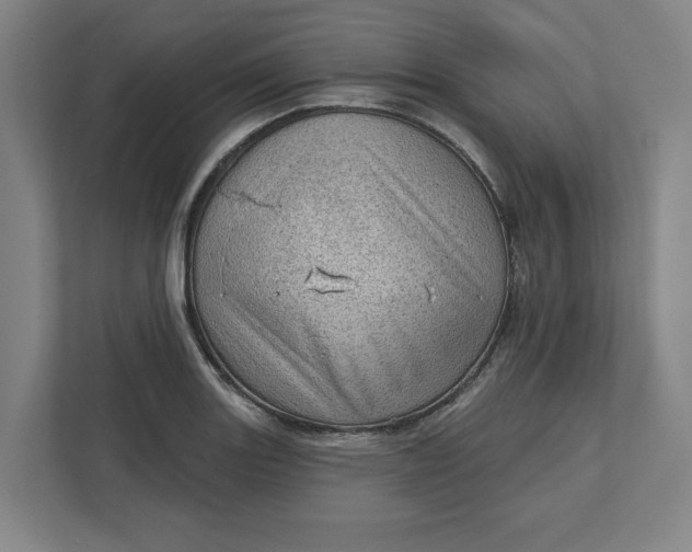 X0000111941131200908101156