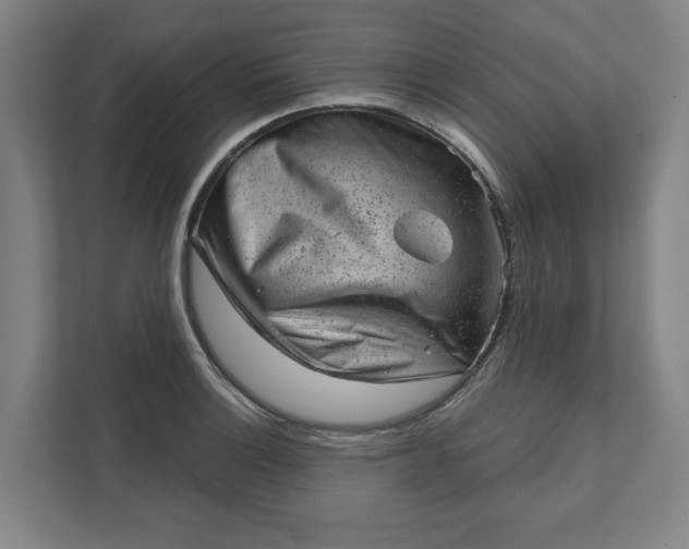 X0000111941132200908101156