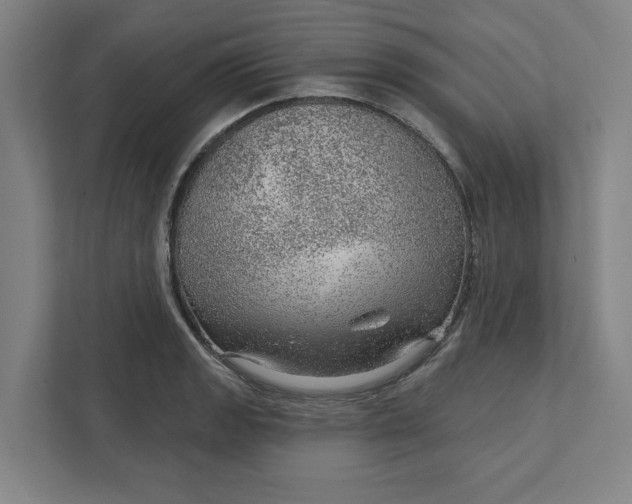 X0000111941133200908101156