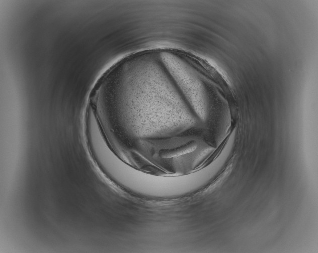 X0000111941134200908101156