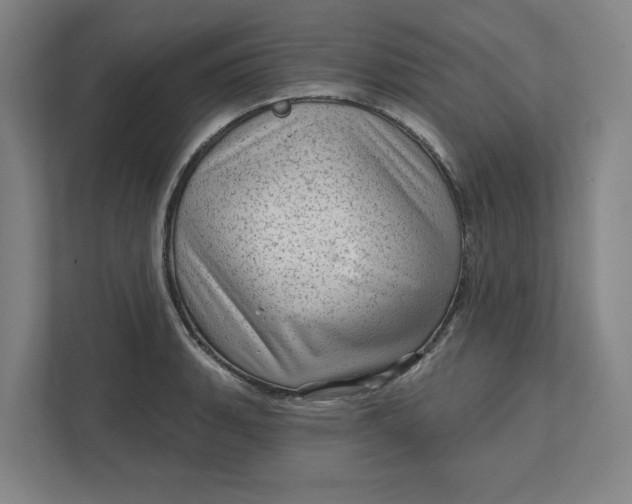 X0000111941135200908101156