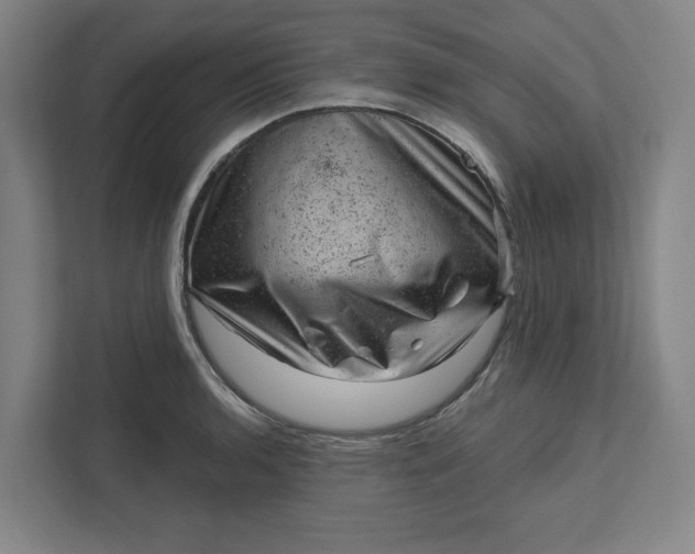 X0000111941136200908101156