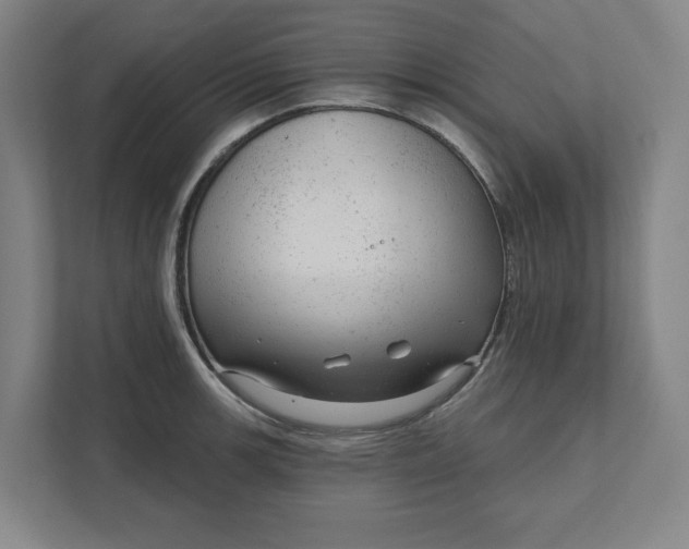 X0000111941139200908101156