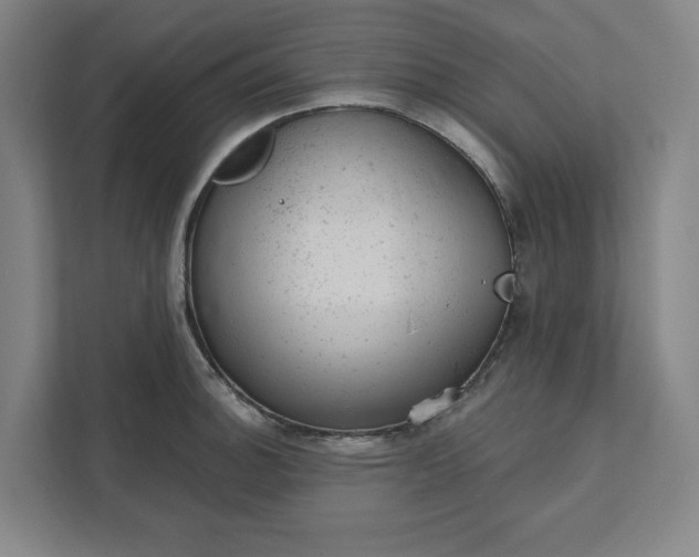 X0000111941140200908101156