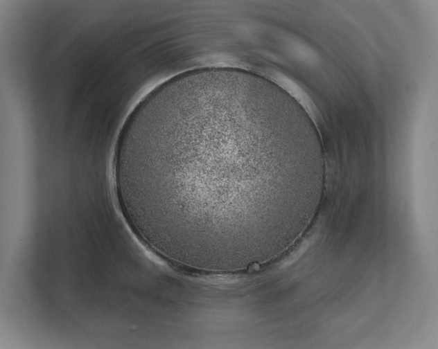 X0000111941141200908101156