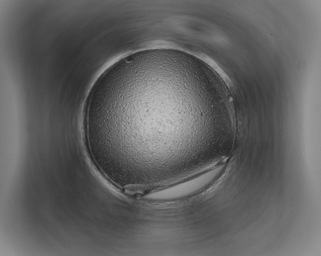 X0000111941142200908101156