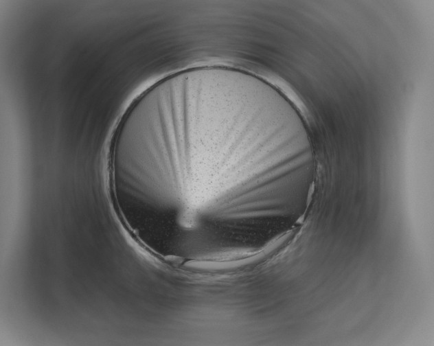 X0000111941143200908101156