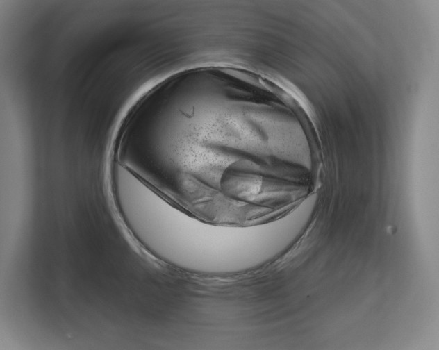 X0000111941144200908101156