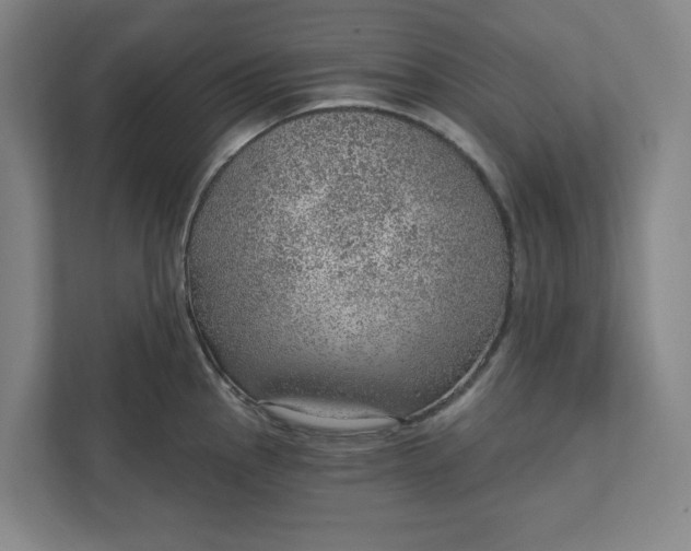 X0000111941145200908101156