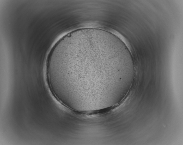 X0000111941147200908101157