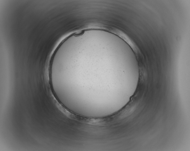 X0000111941148200908101157