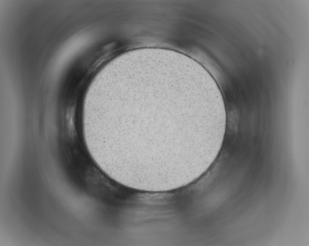 X0000111941150200908101157