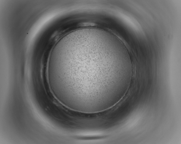 X0000111941151200908101157