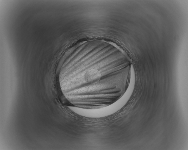 X0000111941153200908101156