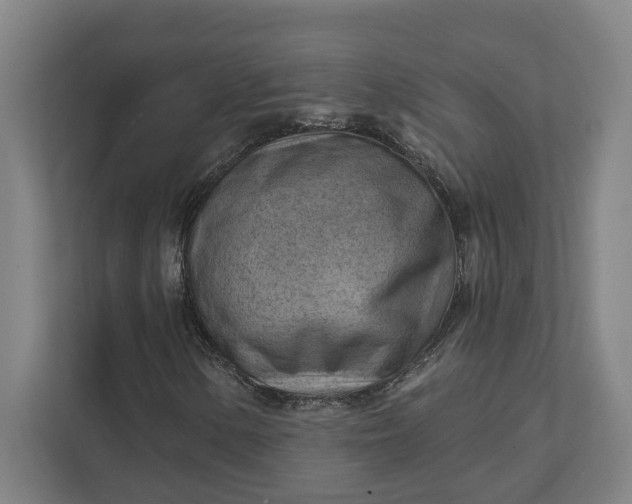 X0000111941154200908101156