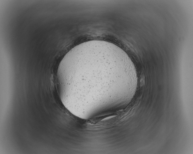 X0000111941156200908101156