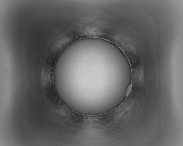 X0000111941157200908101156