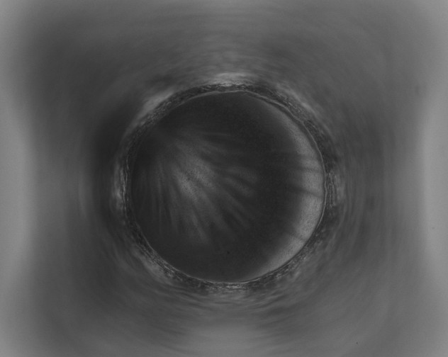 X0000111941158200908101156