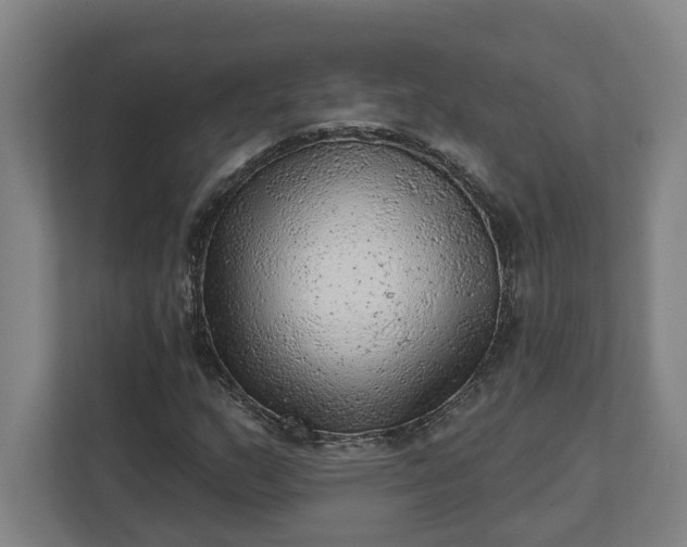 X0000111941159200908101156