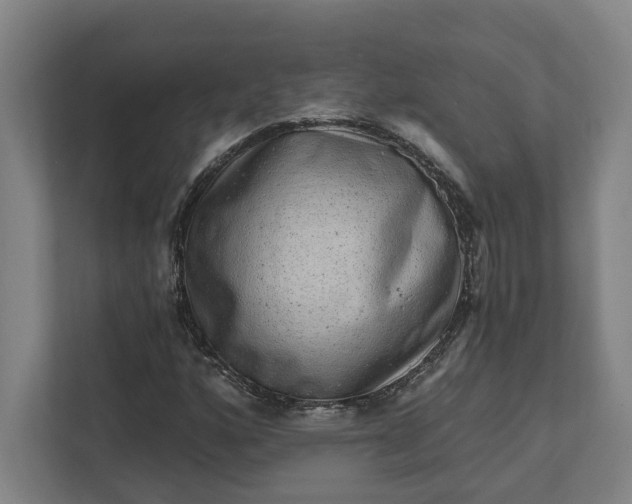 X0000111941160200908101156