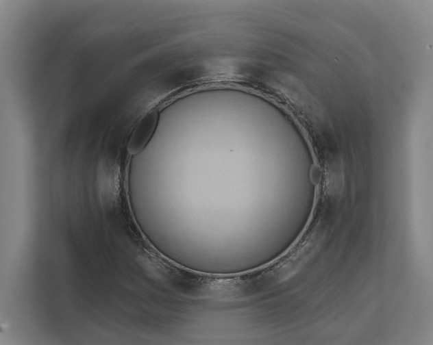 X0000111941161200908101156