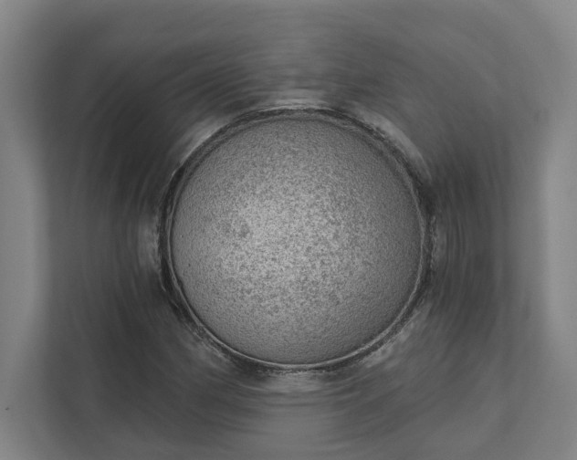 X0000111941162200908101156