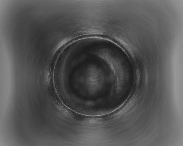 X0000111941163200908101156