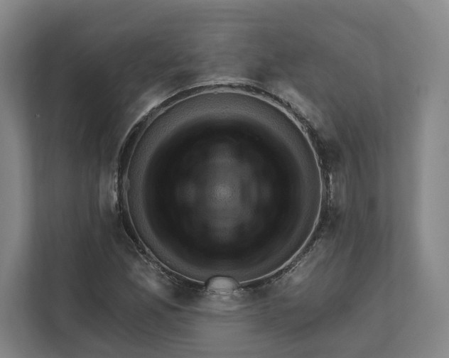 X0000111941165200908101156