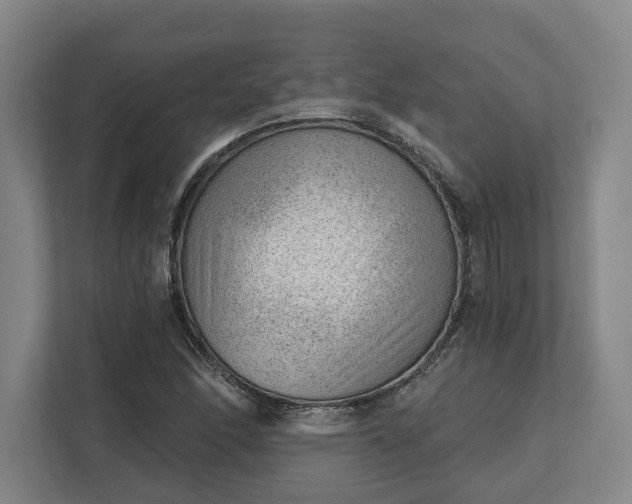 X0000111941166200908101156