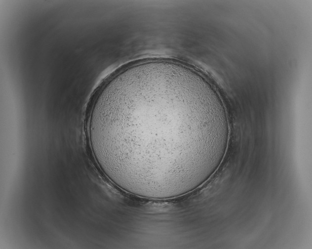 X0000111941168200908101156