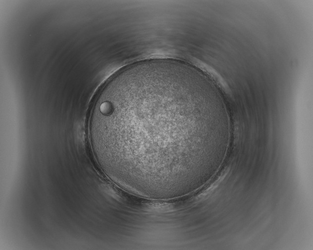 X0000111941170200908101156